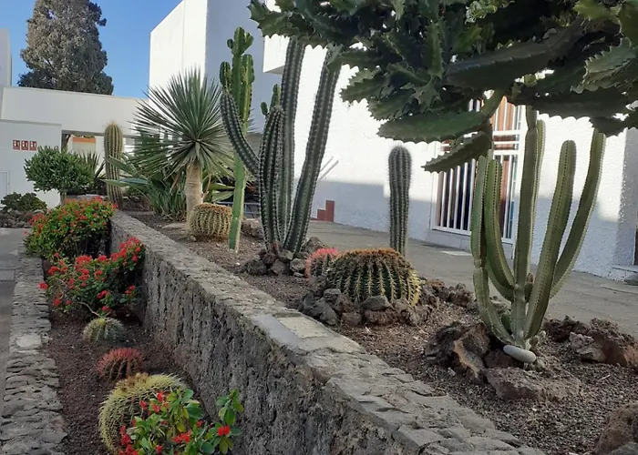 Precioso 公寓 德尔锡伦西奥海岸